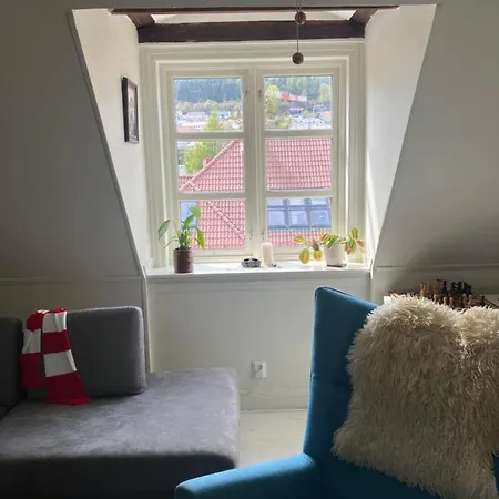 Topfloor Entire Apartamento *